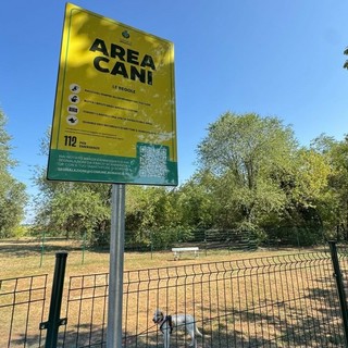 Nuova area cani e camminamenti al cimitero: lavori in  corso a Beinasco