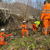 Incendi boschivi: il Corpo Aib del Piemonte parte per la missione europea in Francia Incendi boschivi: il Corpo Aib del Piemonte parte per la missione europea in Francia
