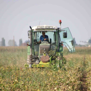 La Regione apre bando da 1,5 milioni per aiutare le aziende agricole a investire nell'innovazione