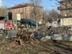 Albero crollato in corso Stati Uniti