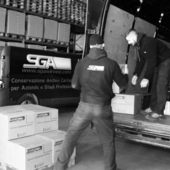 Archiviare, liberare, guadagnare: ottimizzare gli spazi di archiviazione per snellire i luoghi e i processi aziendali Archiviare, liberare, guadagnare: ottimizzare gli spazi di archiviazione per snellire i luoghi e i processi aziendali