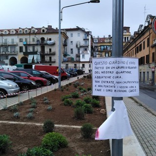Una foto dell'aiuola di piazza don Albera