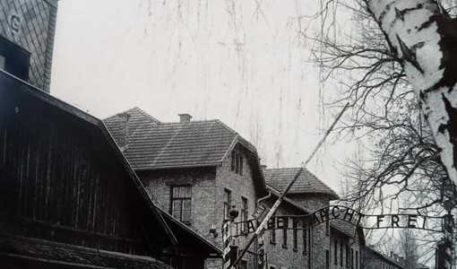 Giorno della Memoria, il Comune di Pino Torinese promuove tre iniziative culturali