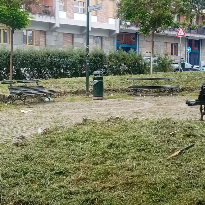 Atti vandalici in piazza Gozzano