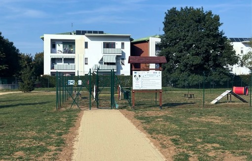 Beinasco, rinasce l'area verde davanti alla scuola Aldo Mei Beinasco, rinasce l'area verde davanti alla scuola Aldo Mei