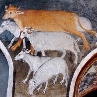 &quot;HIC sunt Viperae&quot;: il 6 settembre breve storia degli animali ai piedi delle Alpi