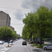 Alberi di corso Belgio, i temporali fanno rialzare la tensione tra cittadini e Comune: “Mobilitiamoci”