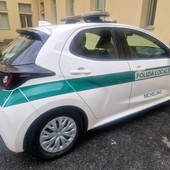 Un 2024 da bollino rosso: a Nichelino 9 mila infrazioni al Codice della Strada
