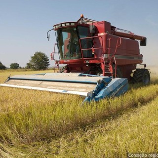 Nuovo regolamento per i distretti biologici