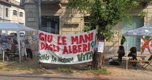 Immagine di repertorio di una protesta per la difesa degli alberi di corso Belgio