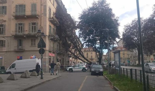 Gli effetti del maltempo a Torino Sud e al Salone del Libro Gli effetti del maltempo a Torino Sud e al Salone del Libro
