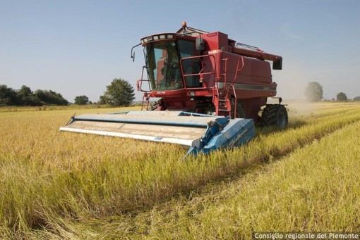 Nuovo regolamento per i distretti biologici