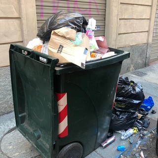 Rifiuti e blatte in via Ormea, il Comune rassicura: "Servizi attivi e monitoraggio costante"