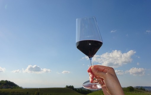 Piemonte premiato come Regione dell'anno 2025 ai Wine Travel Awards