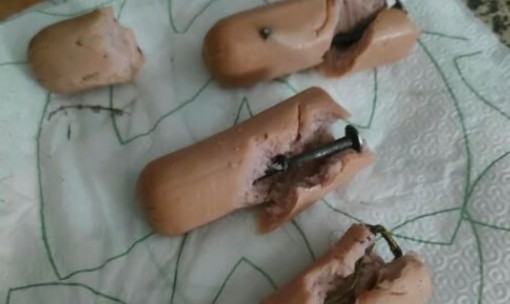 Wurstel imbottiti con chiodi: scatta l'allarme per i cani di Nichelino