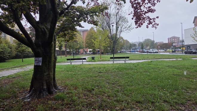 Bocconi con chiodi nel giardino di Parella: "Attenzione ai cani" Bocconi con chiodi nel giardino di Parella: "Attenzione ai cani"