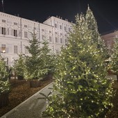 Immagine di archivio del bosco in piazzetta Reale