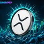 Guadagna $ 5.820 al giorno, cogli l'occasione del rilascio dello slancio di Xrp, Bjmining apre un canale di reddito stabile