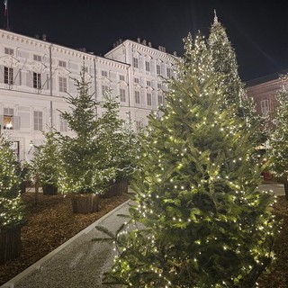 Immagine di archivio del bosco in piazzetta Reale
