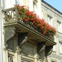 Il mio giardino biodiverso: parte il concorso di Legambiente per fotografare la natura urbana
