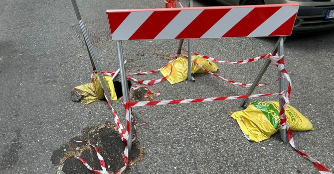 Buche e marciapiedi rovinati: nel 2025 quasi 1.900 segnalazioni alla Circoscrizione 8 Buche e marciapiedi rovinati: nel 2025 quasi 1.900 segnalazioni alla Circoscrizione 8