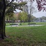 Bocconi con chiodi nel giardino di Pozzo Strada: "Attenzione ai cani" Bocconi con chiodi nel giardino di Pozzo Strada: "Attenzione ai cani"