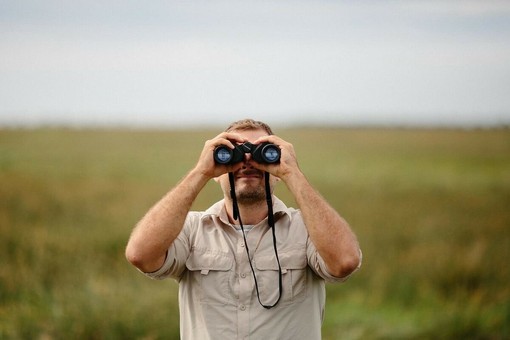 Il fascino del birdwatching tra autunno e inverno Il fascino del birdwatching tra autunno e inverno
