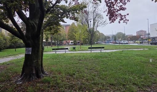 Bocconi con chiodi nel giardino di Parella: "Attenzione ai cani"