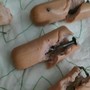 Wurstel imbottiti con chiodi: scatta l'allarme per i cani di Nichelino