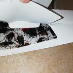 Blatte in alcuni negozi di San Salvario (foto di repertorio)