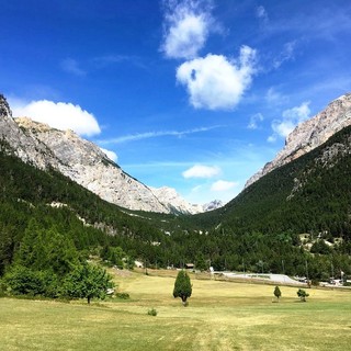 A Bardonecchia una giornata per scoprire l'affascinante mondo degli avvoltoi