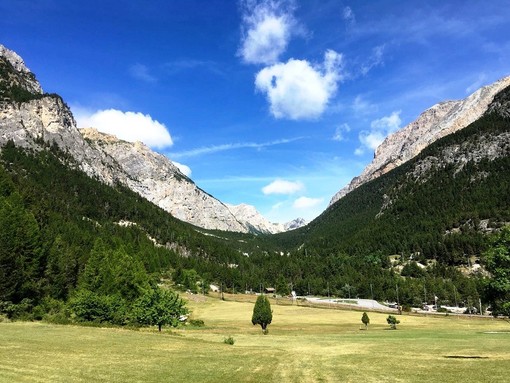 A Bardonecchia una giornata per scoprire l'affascinante mondo degli avvoltoi A Bardonecchia una giornata per scoprire l'affascinante mondo degli avvoltoi