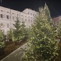 Immagine di archivio del bosco in piazzetta Reale