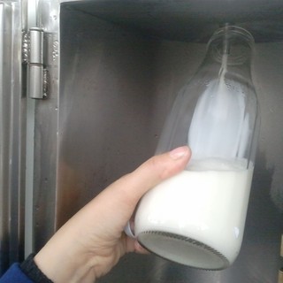 Immagine di repertorio