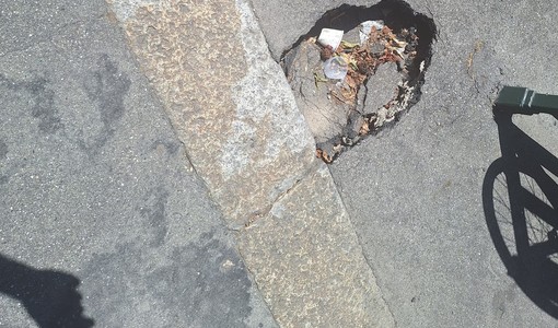 Buche, immondizia e furti: il grido d'allarme di Vanchiglietta