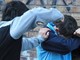 No al bullismo: martedì scuole in piazza San Carlo per dire stop alla violenza con un abbraccio