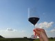Coldiretti Piemonte, commercio estero: &quot;Vino primeggia nell’export ed il cibo made in Italy cresce&quot;