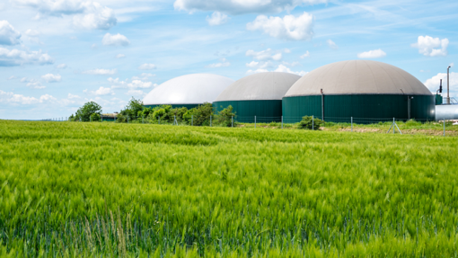 Biogas: si apre una nuova filiera tecnologica per il ritiro dell'energia dai produttori Biogas: si apre una nuova filiera tecnologica per il ritiro dell'energia dai produttori