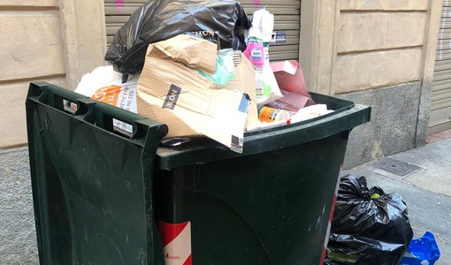 Rifiuti e blatte in via Ormea, il Comune rassicura: "Servizi attivi e monitoraggio costante" Rifiuti e blatte in via Ormea, il Comune rassicura: "Servizi attivi e monitoraggio costante"