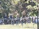 Blitz della Polizia al parco Sempione, via i pusher e le tende Blitz della Polizia al parco Sempione, via i pusher e le tende