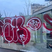 Graffiti sul Bosco degli altri a Palazzo Nuovo