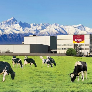 stabilimento di Biraghi con mucche al pascolo