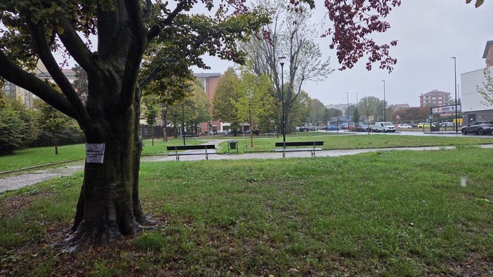 Bocconi con chiodi nel giardino di Parella: "Attenzione ai cani" Bocconi con chiodi nel giardino di Parella: "Attenzione ai cani"