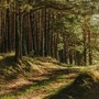 Rivoluzione verde in alta Val Susa: la nuova Comunità energetica con Salbertrand ed Exilles