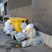 Mirafiori, la spazzatura finisce in strada: “Troviamo un posto idoneo per i cassonetti” Mirafiori, la spazzatura finisce in strada: “Troviamo un posto idoneo per i cassonetti”