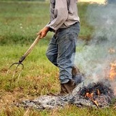 La richiesta di Confagricoltura Piemonte: “Occorre rinviare il divieto di abbruciamento”