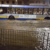 lavori in corso regina