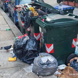 "Torino è sporca": i cittadini segnalano rifiuti per strada e bidoni maleodoranti