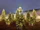 La magia del Natale illumina Torino (foto d'archivio)
