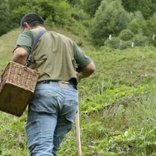 Cercatori di funghi, è boom di interventi di soccorso. Il Sasp: &quot;Informate sempre qualcuno su dove andate&quot;